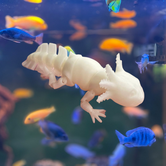 Flexi Axolotl Glow In the Dark